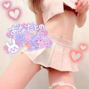 ヒメ日記 2025/03/19 01:40 投稿 エル バニーコレクション新潟店