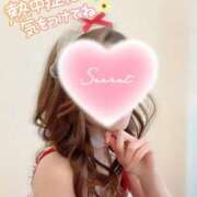 ヒメ日記 2025/08/06 00:30 投稿 エル バニーコレクション新潟店