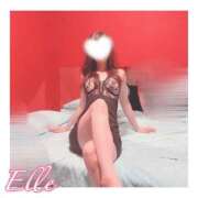 ヒメ日記 2025/09/11 00:30 投稿 エル バニーコレクション新潟店