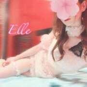 ヒメ日記 2025/10/26 01:51 投稿 エル バニーコレクション新潟店