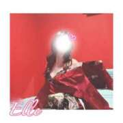 ヒメ日記 2026/01/02 01:01 投稿 エル バニーコレクション新潟店