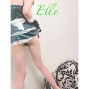 ヒメ日記 2026/02/13 17:02 投稿 エル バニーコレクション新潟店