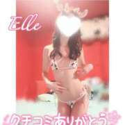 ヒメ日記 2026/02/15 15:38 投稿 エル バニーコレクション新潟店