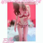 ヒメ日記 2026/02/20 16:50 投稿 エル バニーコレクション新潟店