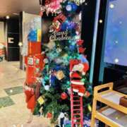 ヒメ日記 2024/12/18 07:23 投稿 さき フェアリードール