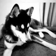 ヒメ日記 2025/01/17 18:23 投稿 さき フェアリードール