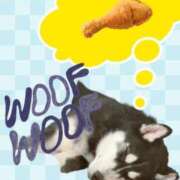 ヒメ日記 2025/01/26 16:43 投稿 さき フェアリードール