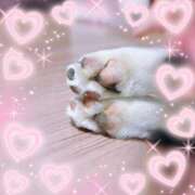 ヒメ日記 2025/02/01 17:13 投稿 さき フェアリードール