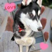 ヒメ日記 2025/02/16 08:23 投稿 さき フェアリードール