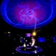 ヒメ日記 2025/03/06 23:23 投稿 さき フェアリードール