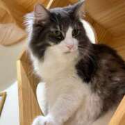 ヒメ日記 2025/07/03 17:23 投稿 さき フェアリードール