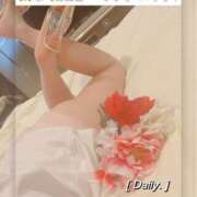 ヒメ日記 2025/07/15 14:23 投稿 さき フェアリードール