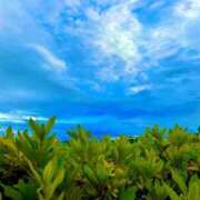 ヒメ日記 2025/07/27 11:53 投稿 さき フェアリードール