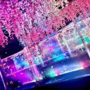 ヒメ日記 2026/04/18 19:23 投稿 さき フェアリードール