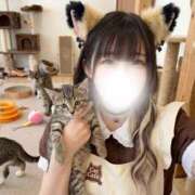 ヒメ日記 2026/10/05 02:13 投稿 さき フェアリードール