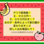 ヒメ日記 2024/08/22 21:18 投稿 エリー ぷよラブ