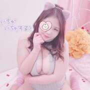 ヒメ日記 2025/01/01 15:00 投稿 エリー ぷよラブ