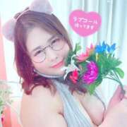 ヒメ日記 2025/02/27 12:00 投稿 エリー ぷよラブ