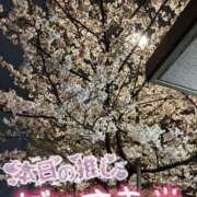 ヒメ日記 2026/04/08 21:43 投稿 中谷　ひそみ エテルナ京都