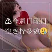 ヒメ日記 2025/02/14 18:15 投稿 結愛 李白（りぽ）