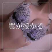 ヒメ日記 2025/05/29 12:15 投稿 結愛 李白（りぽ）