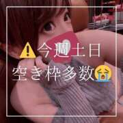 ヒメ日記 2025/10/27 07:31 投稿 結愛 李白（りぽ）