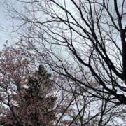 ヒメ日記 2026/04/24 12:34 投稿 りなCA Line