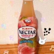 ヒメ日記 2025/02/23 18:16 投稿 鶴野姉さん 男性機能鍛錬道場