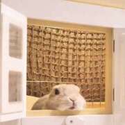 ヒメ日記 2025/03/20 21:15 投稿 鶴野姉さん 男性機能鍛錬道場