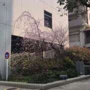 ヒメ日記 2025/03/27 18:32 投稿 鶴野姉さん 男性機能鍛錬道場