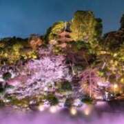 ヒメ日記 2025/03/29 15:28 投稿 鶴野姉さん 男性機能鍛錬道場