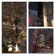 ヒメ日記 2025/04/03 21:50 投稿 鶴野姉さん 男性機能鍛錬道場