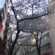 ヒメ日記 2025/04/06 15:39 投稿 鶴野姉さん 男性機能鍛錬道場