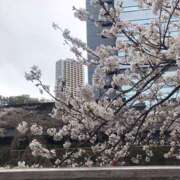 ヒメ日記 2025/04/10 13:10 投稿 鶴野姉さん 男性機能鍛錬道場