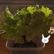 ヒメ日記 2025/04/11 12:02 投稿 鶴野姉さん 男性機能鍛錬道場