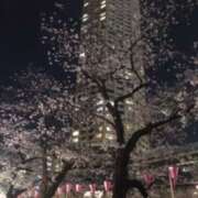 ヒメ日記 2025/04/13 05:28 投稿 鶴野姉さん 男性機能鍛錬道場