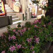 ヒメ日記 2025/04/15 21:26 投稿 鶴野姉さん 男性機能鍛錬道場