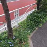 ヒメ日記 2025/04/17 08:07 投稿 鶴野姉さん 男性機能鍛錬道場