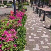 ヒメ日記 2025/05/08 19:17 投稿 鶴野姉さん 男性機能鍛錬道場