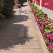 ヒメ日記 2025/05/11 14:14 投稿 鶴野姉さん 男性機能鍛錬道場