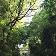 ヒメ日記 2025/05/11 19:51 投稿 鶴野姉さん 男性機能鍛錬道場