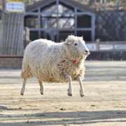 ヒメ日記 2025/05/27 17:06 投稿 鶴野姉さん 男性機能鍛錬道場