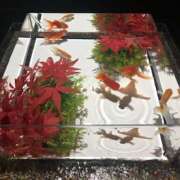 ヒメ日記 2025/07/20 18:56 投稿 鶴野姉さん 男性機能鍛錬道場