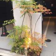 ヒメ日記 2025/08/11 19:21 投稿 鶴野姉さん 男性機能鍛錬道場