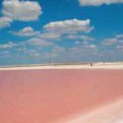 ヒメ日記 2025/08/22 18:12 投稿 鶴野姉さん 男性機能鍛錬道場