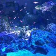 ヒメ日記 2025/08/24 15:14 投稿 鶴野姉さん 男性機能鍛錬道場