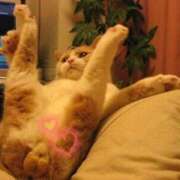 ヒメ日記 2025/08/29 19:06 投稿 鶴野姉さん 男性機能鍛錬道場