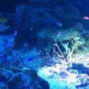 ヒメ日記 2025/10/19 22:13 投稿 鶴野姉さん 男性機能鍛錬道場