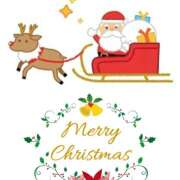 ヒメ日記 2025/12/25 18:51 投稿 鶴野姉さん 男性機能鍛錬道場