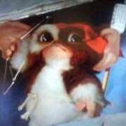 ヒメ日記 2025/12/30 21:54 投稿 鶴野姉さん 男性機能鍛錬道場